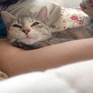 Meet your Posher, Kristin